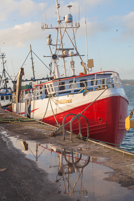 Ireland Nov 2015 (17)